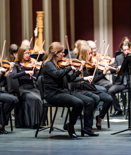 Image for Concert For Kids & Families