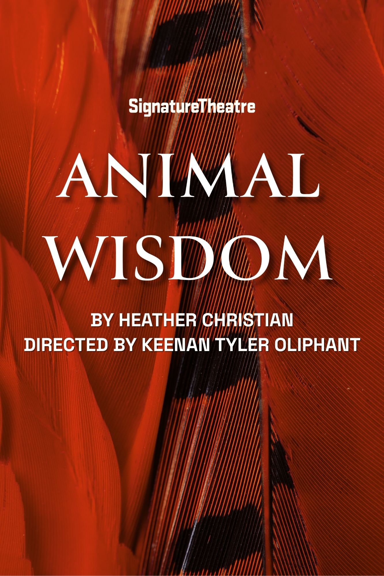 Image for ANIMAL WISDOM