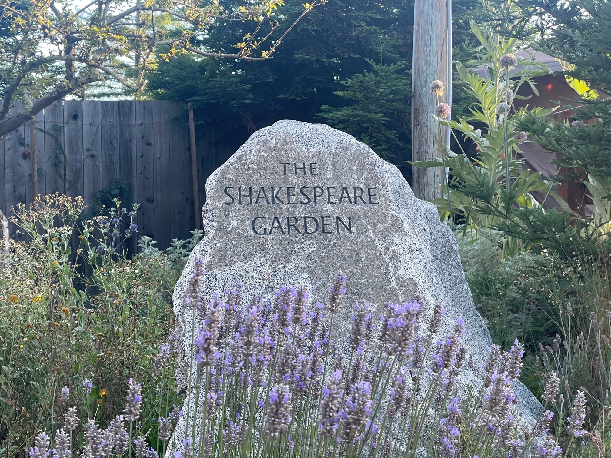 Image for The Shakespeare Garden
