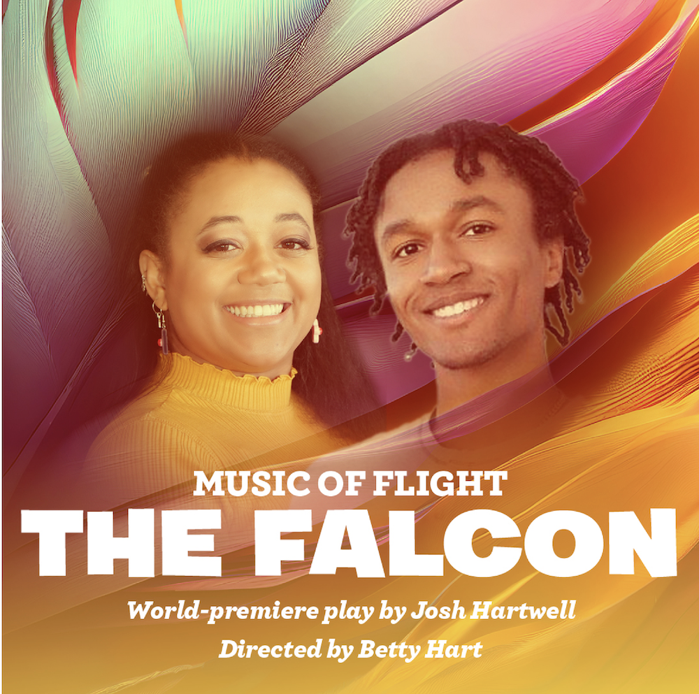 Image for Music of Flight: The Falcon - Copy