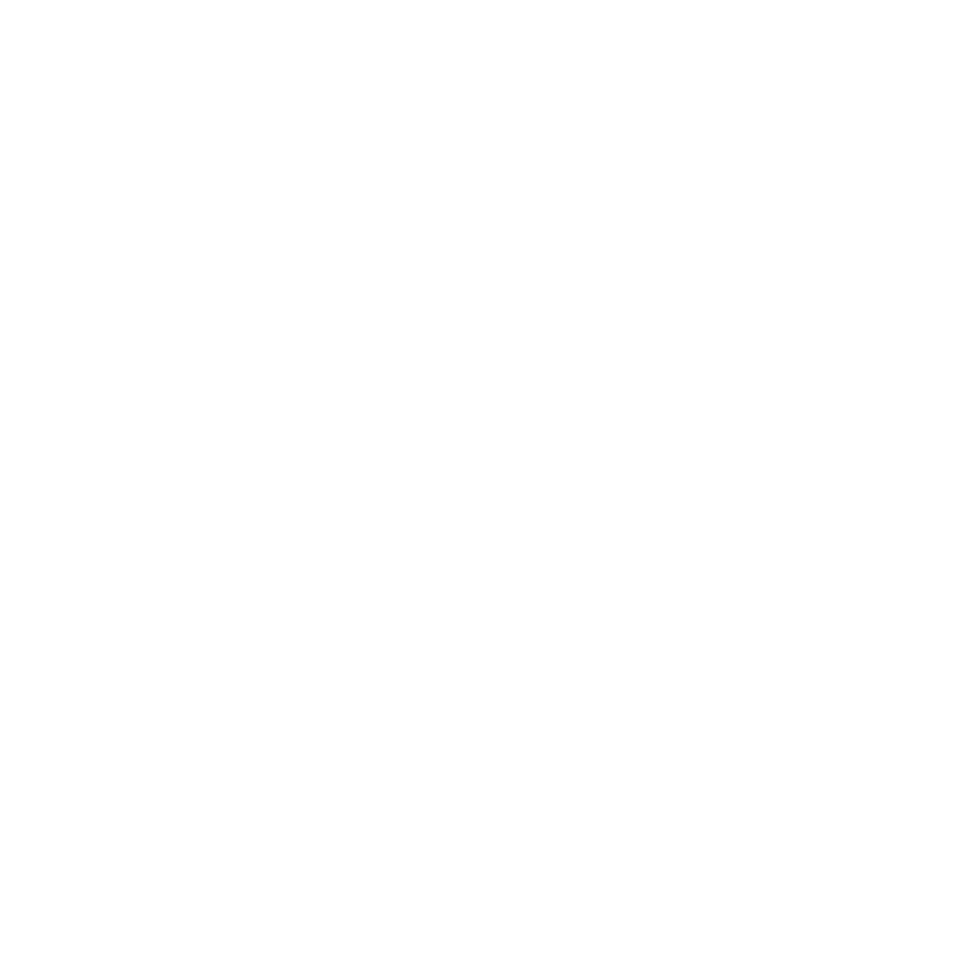 BELLINGHAM SYMPHONY ORCHESTRA