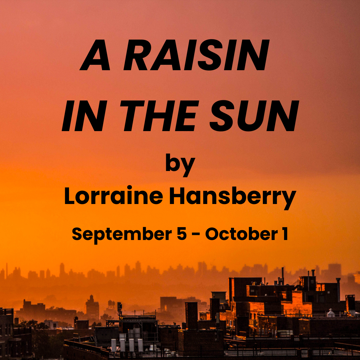 Image for A Raisin in the Sun