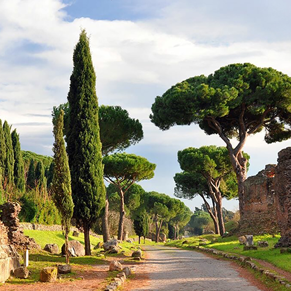 Image for Fountains & Pines of Rome