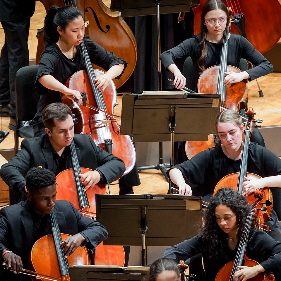 Image for CSYO Philharmonic Orchestra: The Year 1905