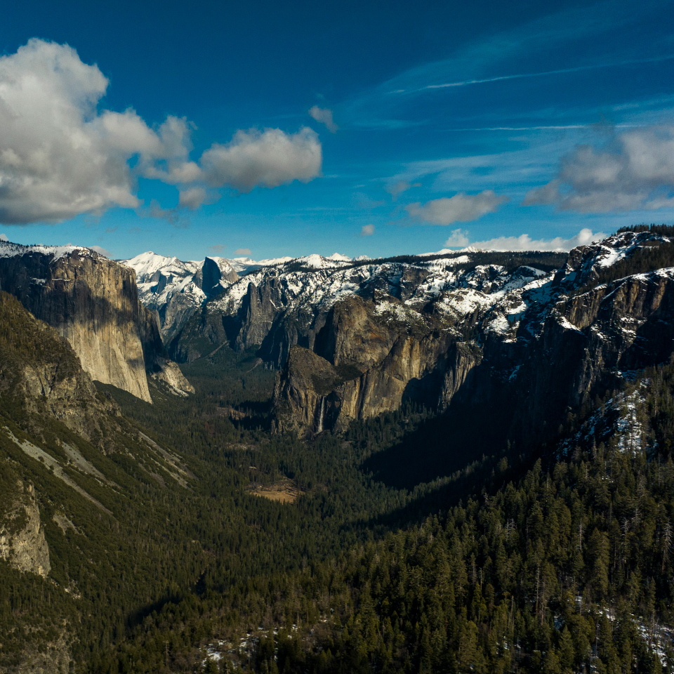 Image for AMERICAN MOSAIC