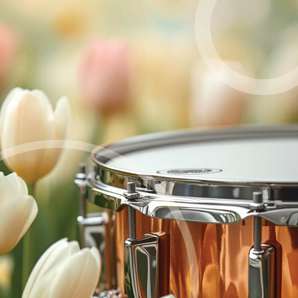 Image for BEETHOVEN, MOZART & HAYDN