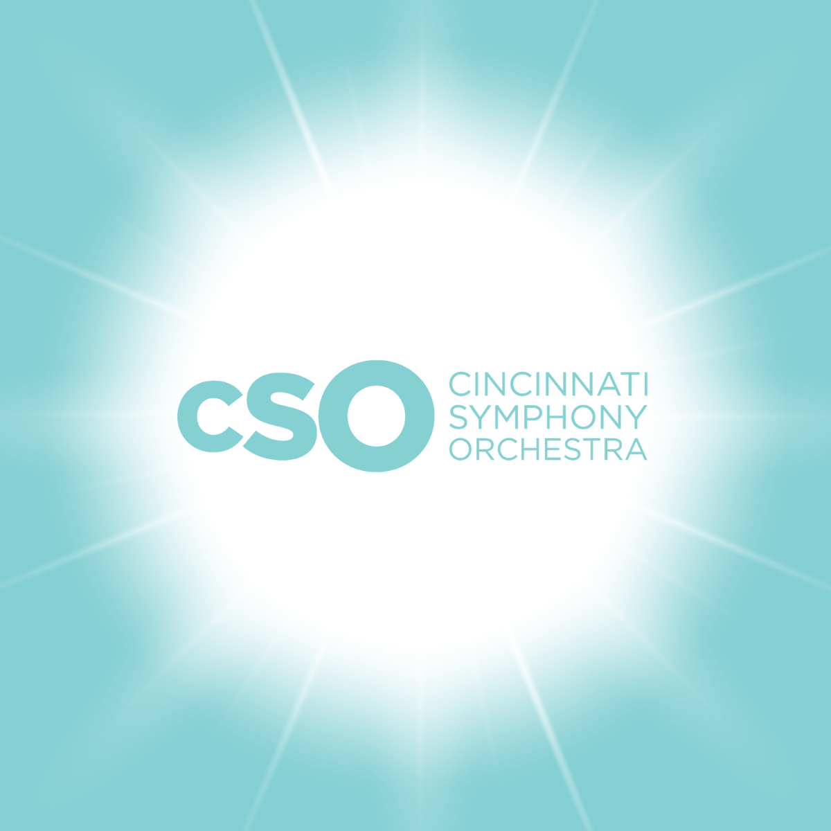 Image for CSO TEMPLATE