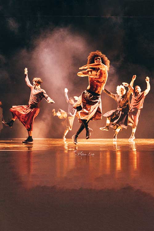 Image for Compagnie Hervé Koubi