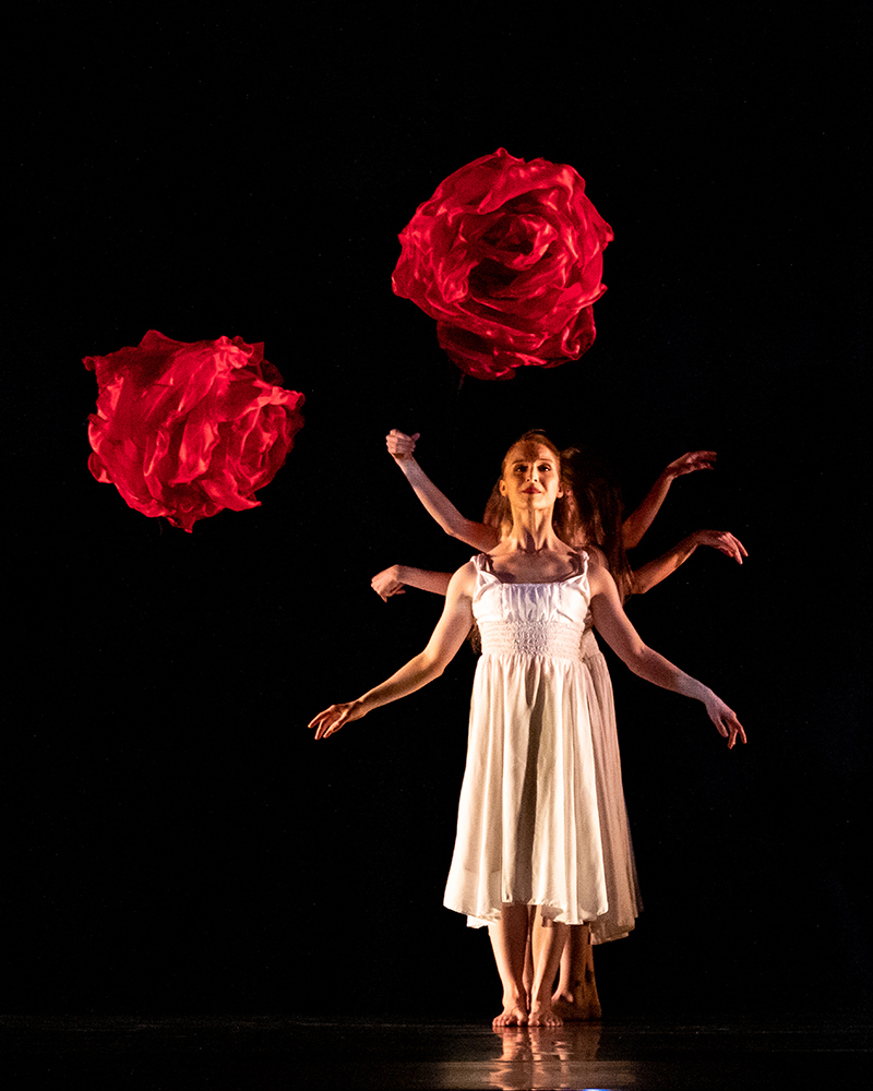 Image for MOMIX: Alice
