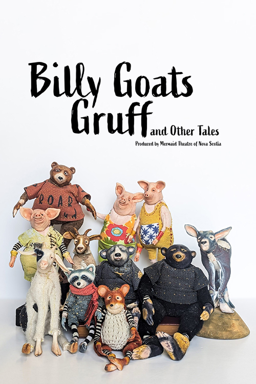 Image for Mermaid Theatre of Nova Scotia