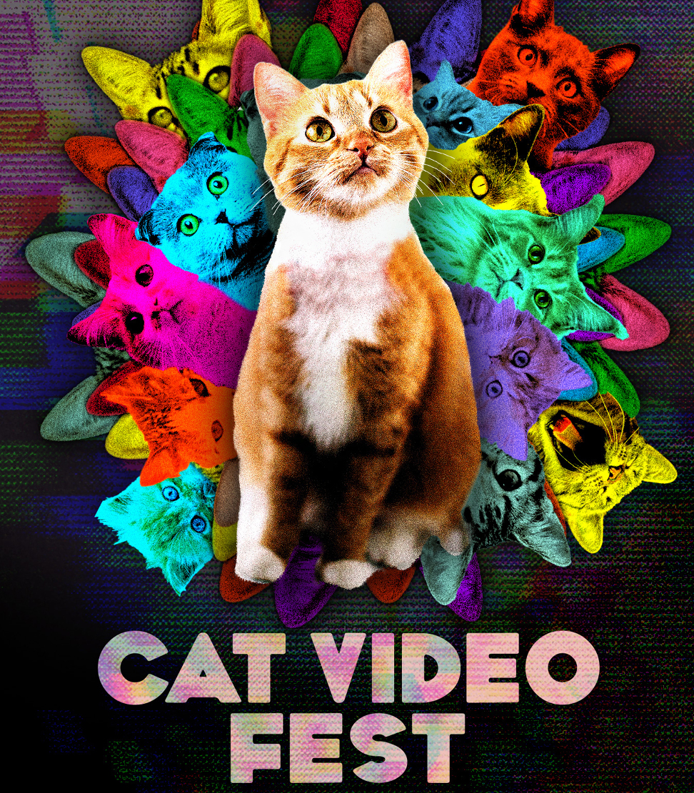 Image for CapFilm  Cat Video Fest 2022