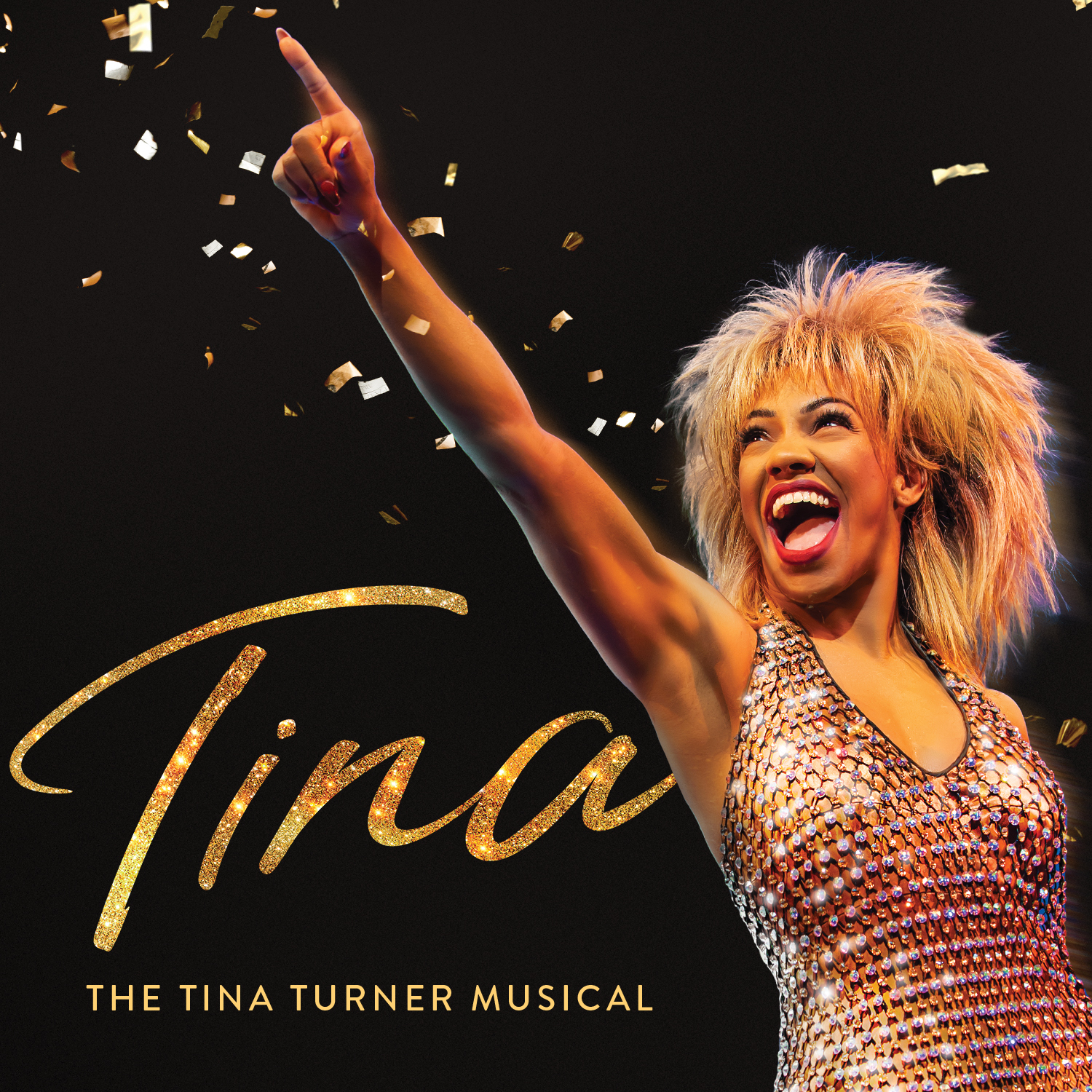 Image for TINA – The Tina Turner Musical