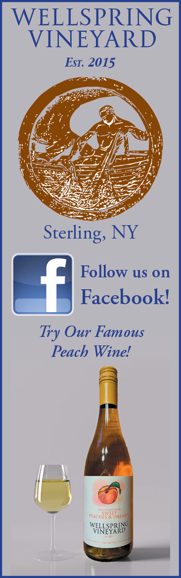 Wellspring Vineyard