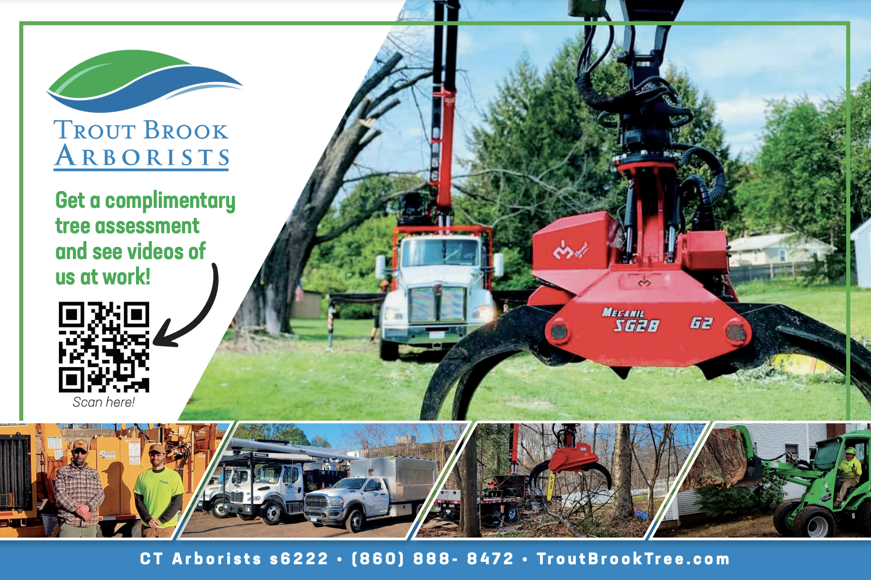 Trout Brook Arborists