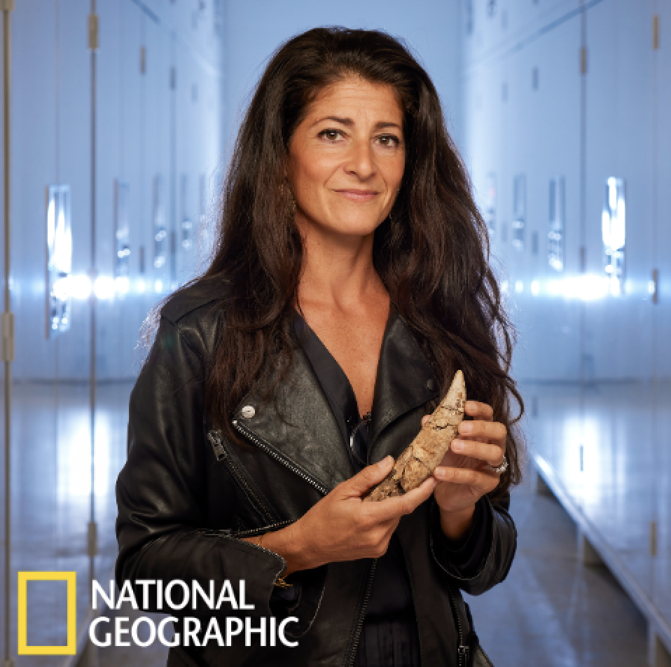 Image for National Geographic Live: Rise of T. rex with Dr. Lindsay Zanno