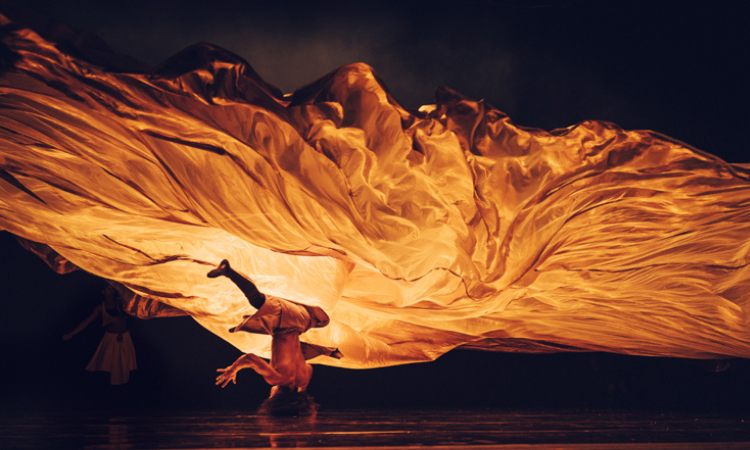 Image for Compagnie Hervé KOUBI: Sol Invictus