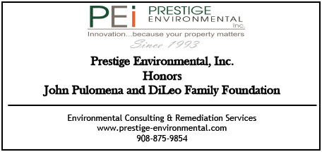 Prestige Environmental