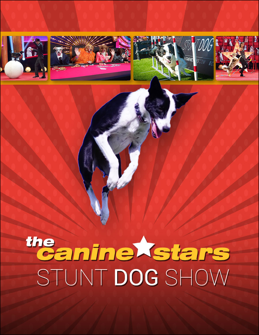 Image for The Canine Stars Stunt Dog Show