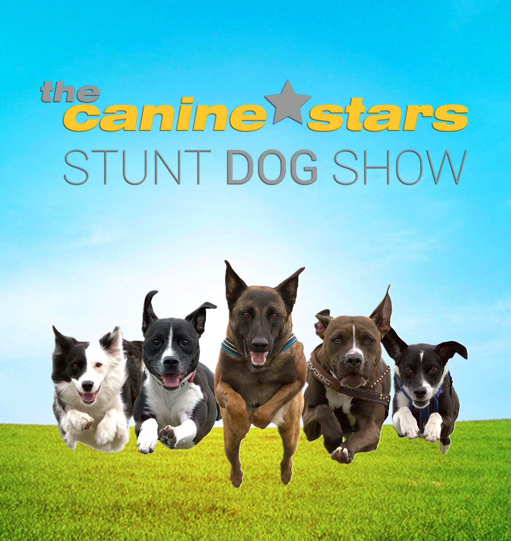Image for The Canine Stars Stunt Dog Show