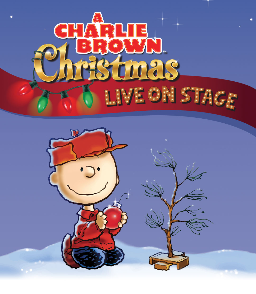 Image for A Charlie Brown Christmas