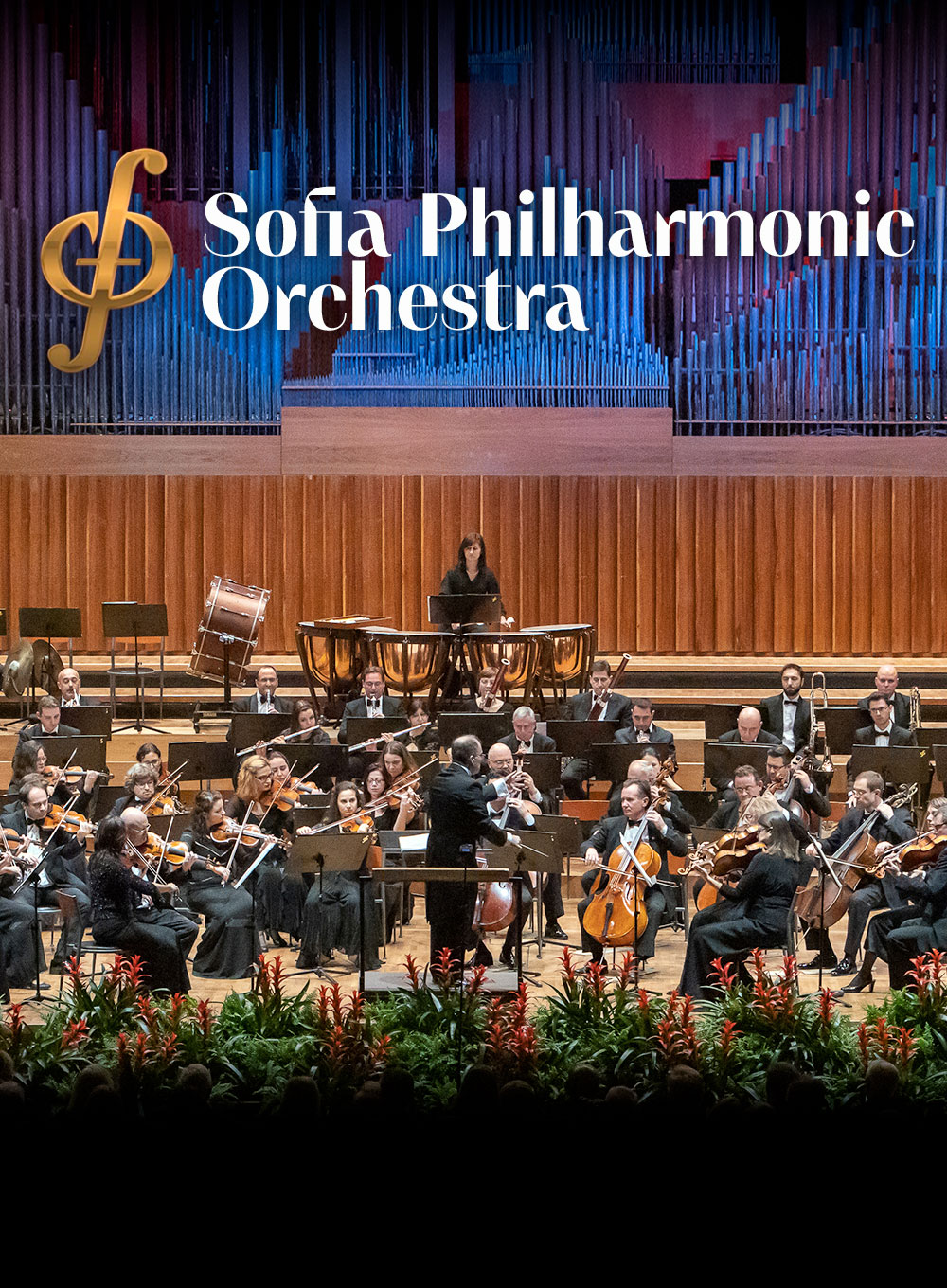Image for Sofia Philharmonic Orchestra