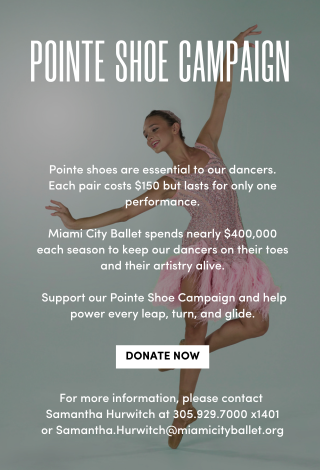 Donate to the Pointe Shoe Campaign