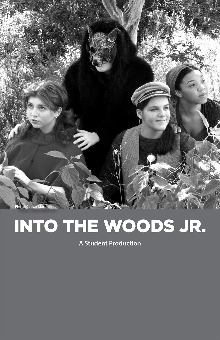 Image for Into the Woods Jr.
