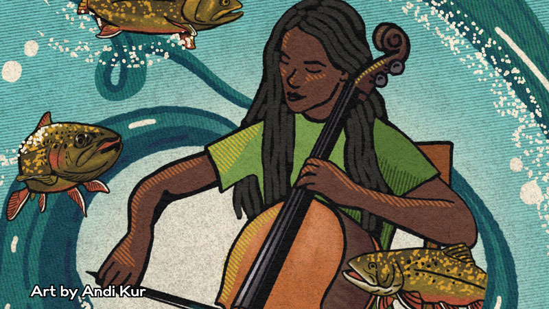 Image for Dvořák & Beach