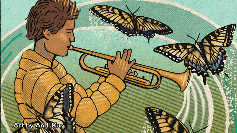 Image for Verdi Requiem