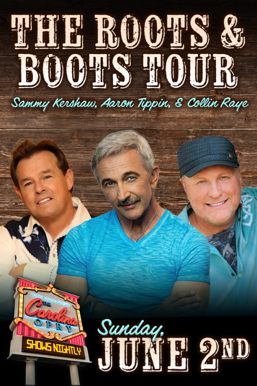 Image for ROOTS & BOOTS