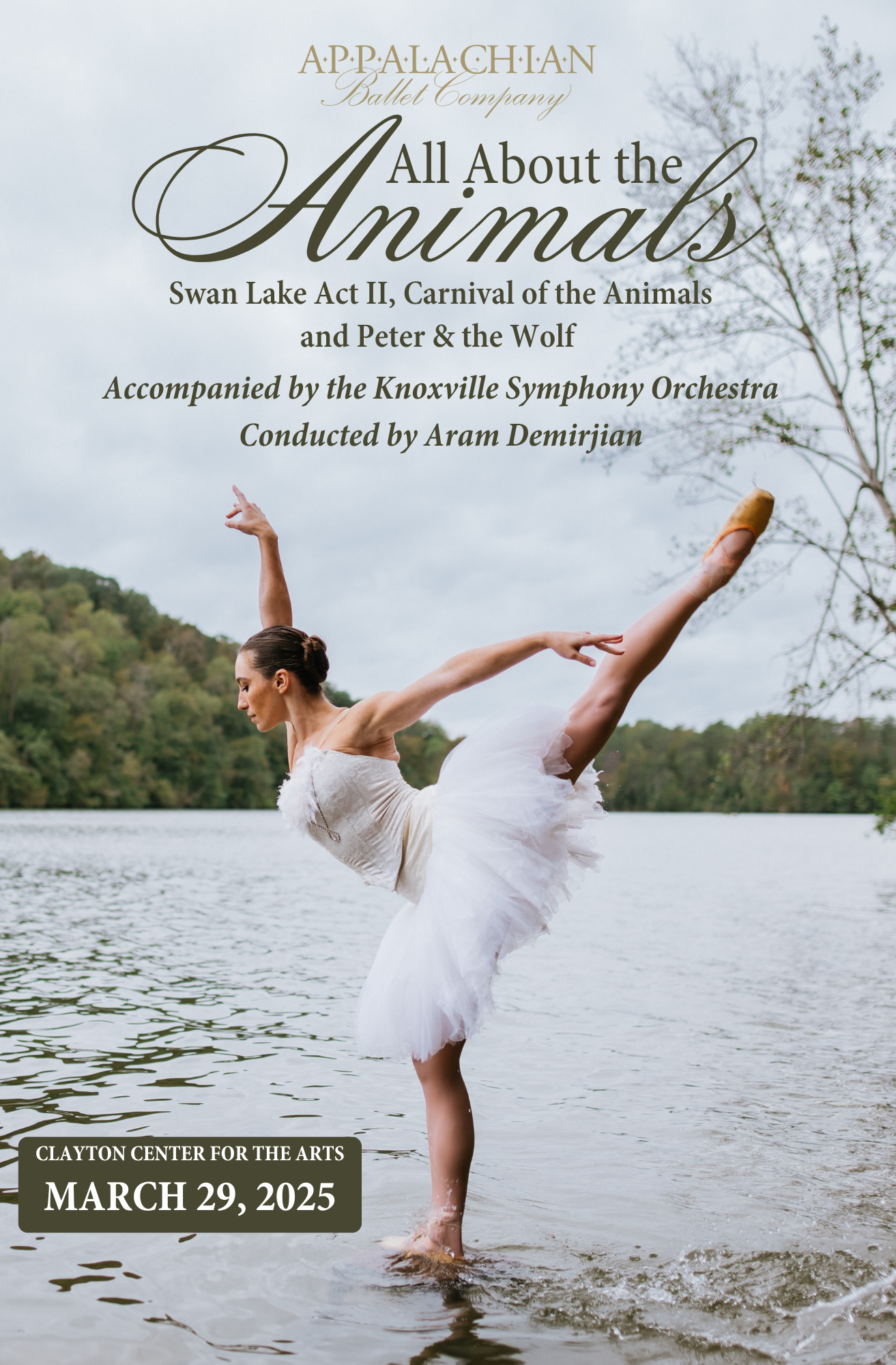 Appalachian Ballet Company