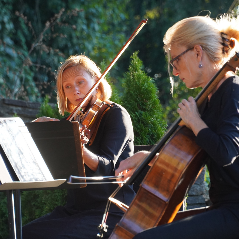 Image for Symphony in the Garden
