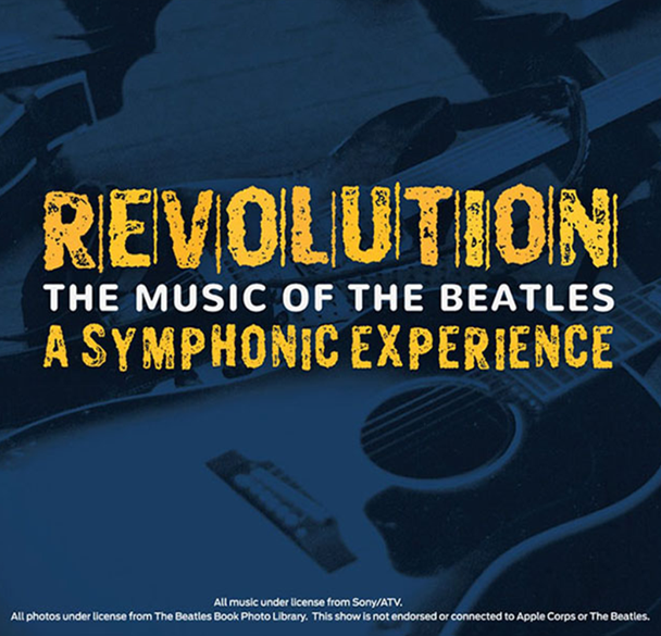 Image for Beatles Revolution