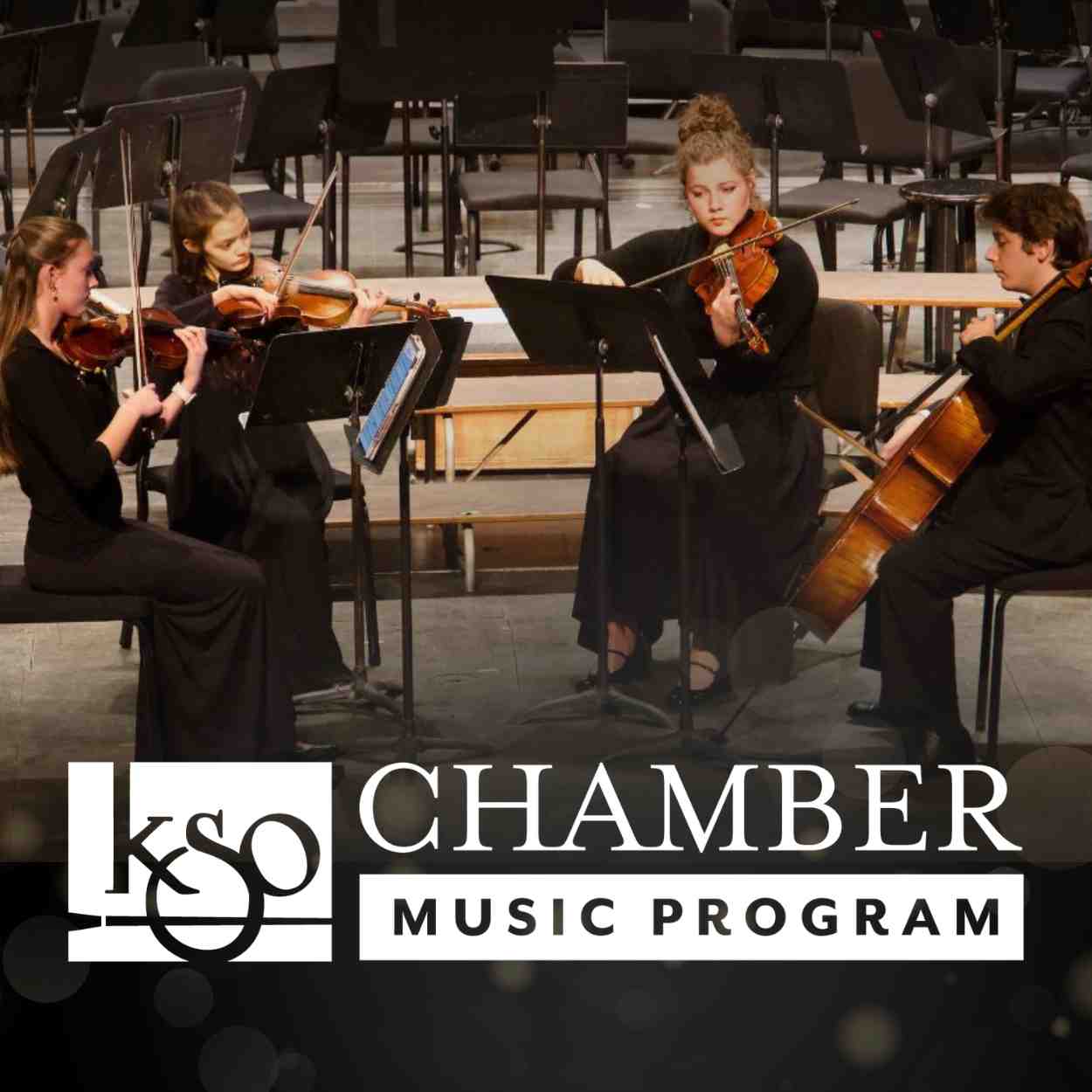 Image for Youth Chamber Music Program Spring Concert