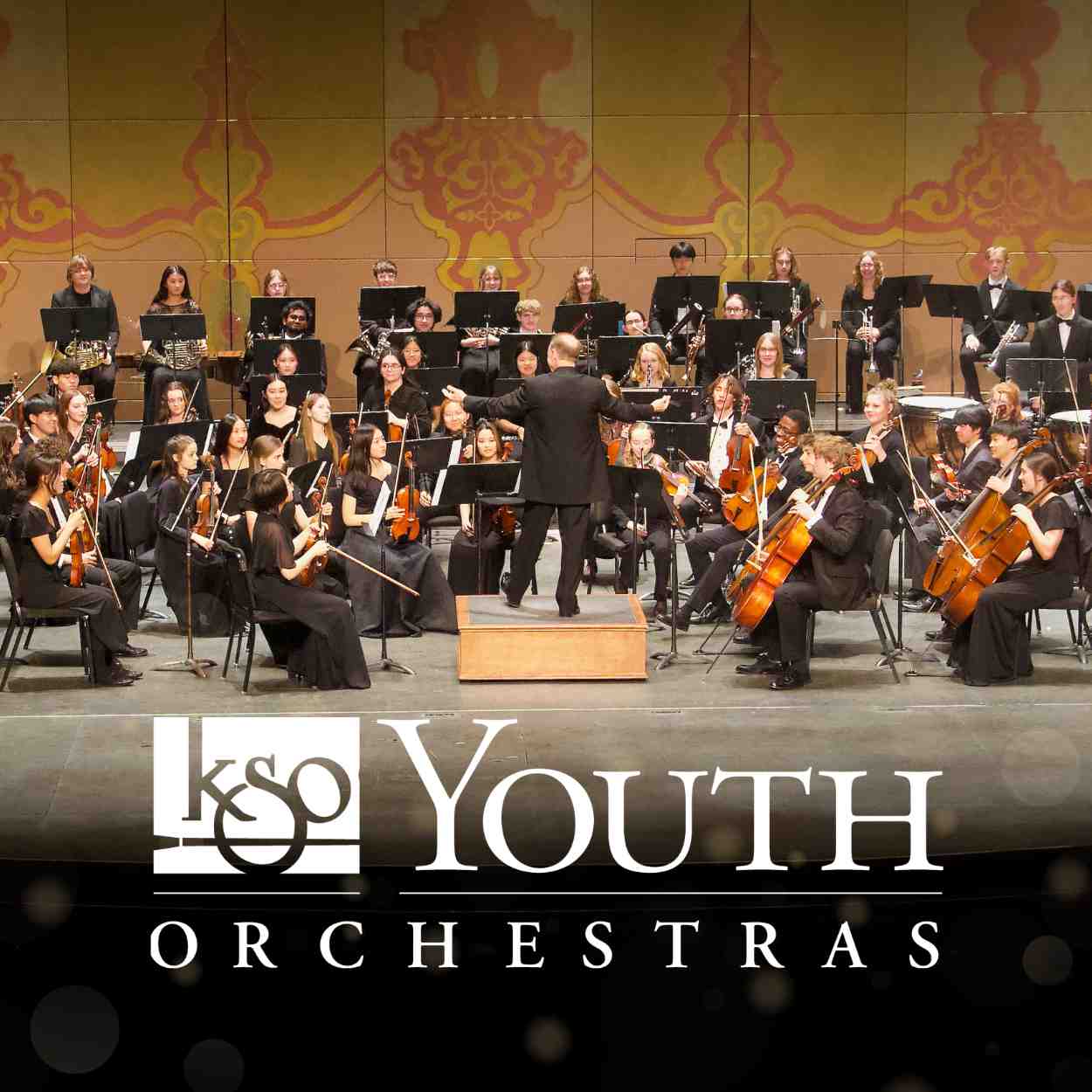 Image for Youth Orchestras Spring Concert