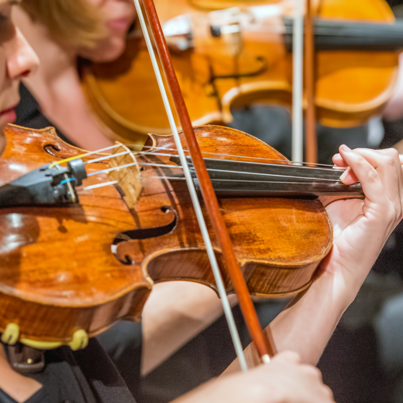 Image for Chamber Series: Tchaikovsky’s Serenade
