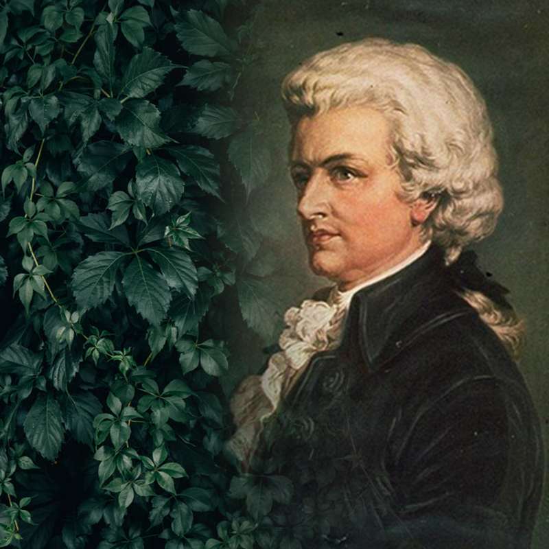 Image for Mozart in the Gardens