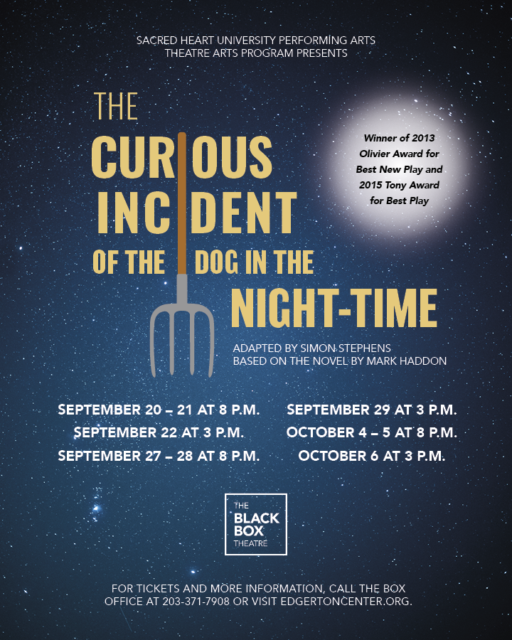 Image for The Curious Incident of The Dog in the Night-Time