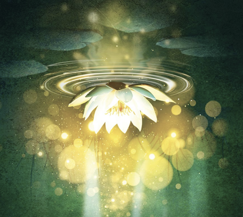 Image for A Midsummer Night's Dream