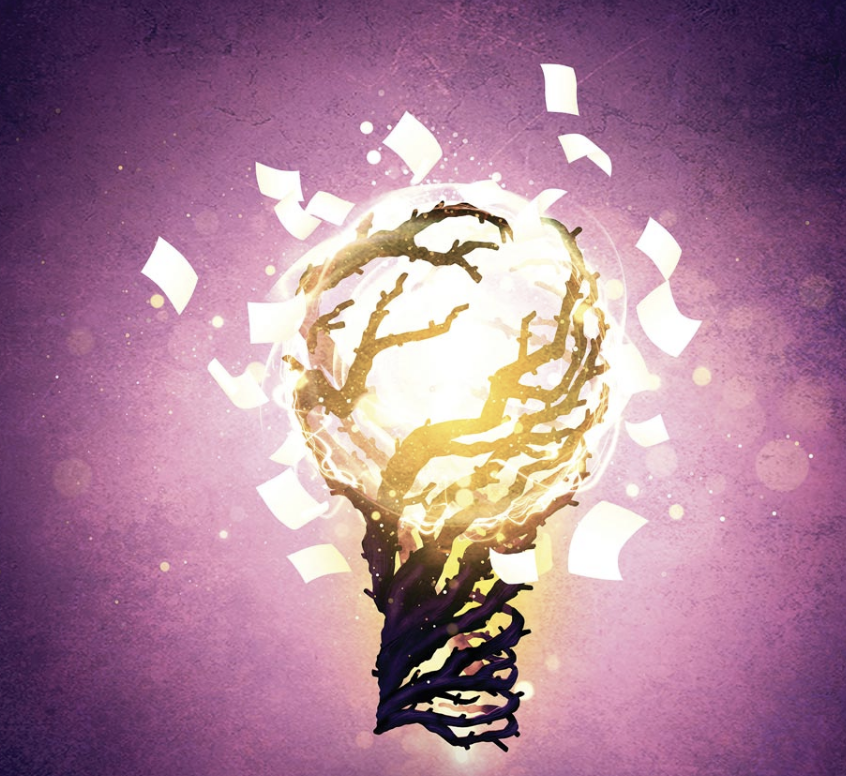 Image for Seeds of Time