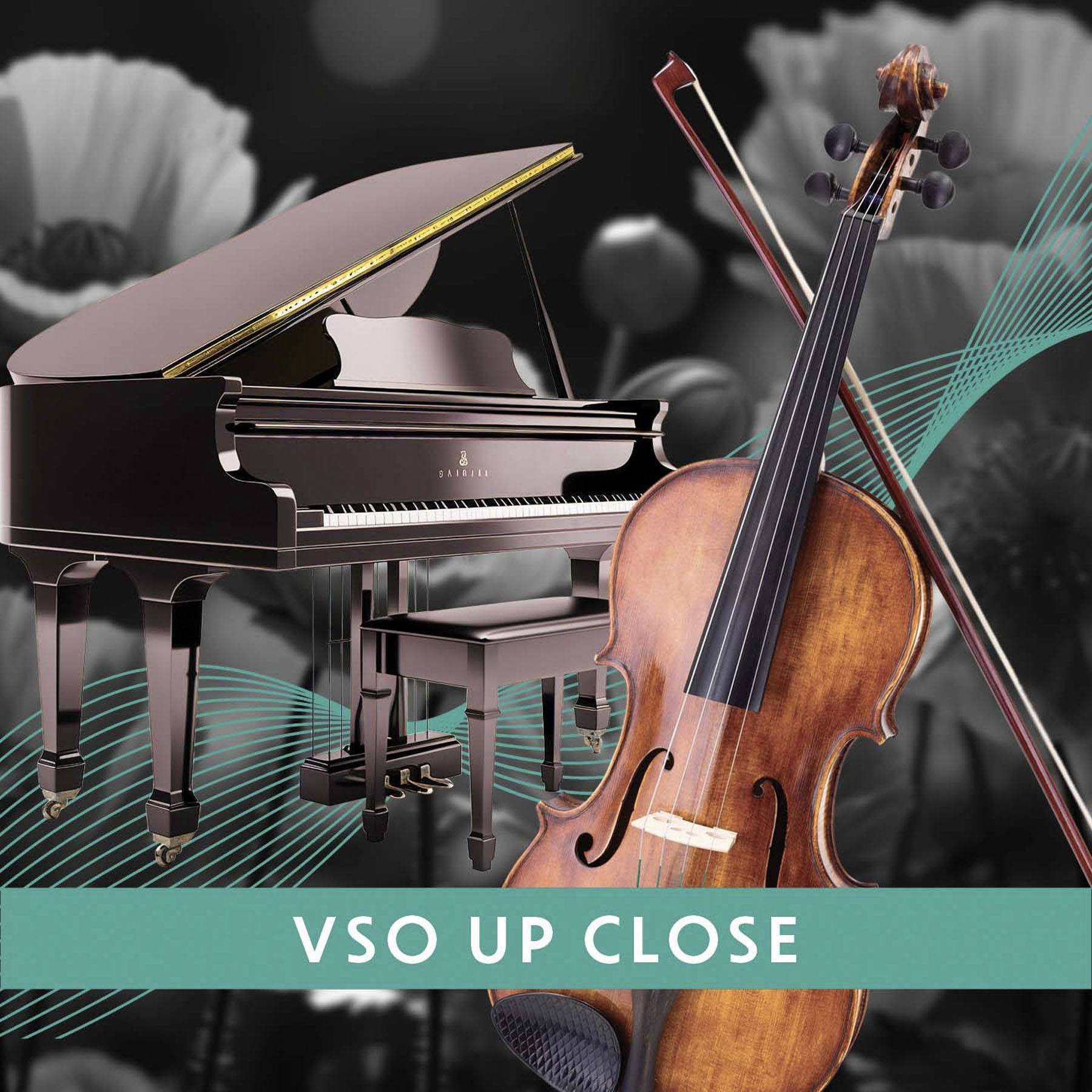 Image for VSO Up Close: Beethoven Violin Sonatas