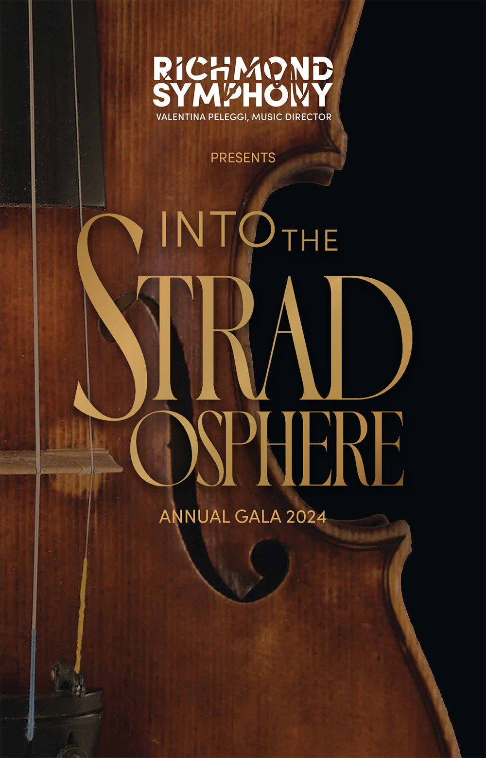 Image for Into The Stradosphere