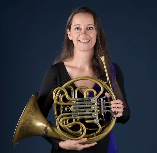 Image for Horn & Serenade: Strauss & Brahms