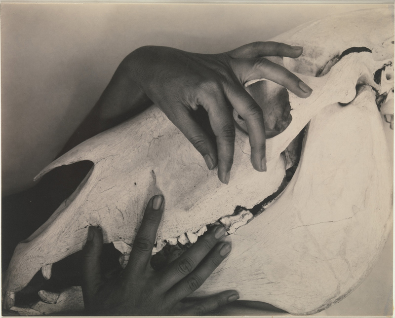 Georgia O’Keeffe — Hands and Horse Skull