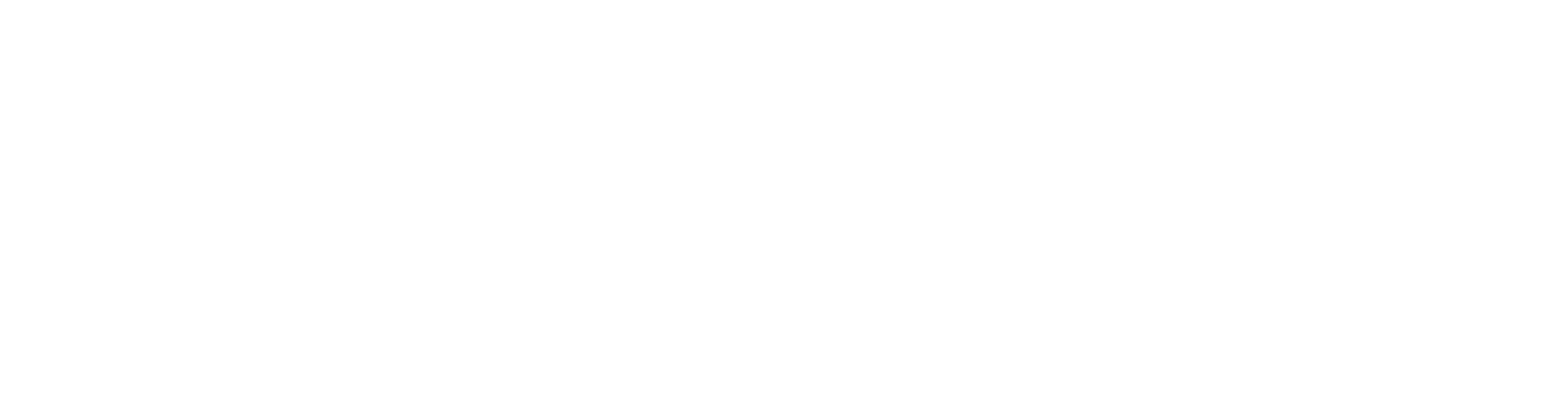 ford foundation logo